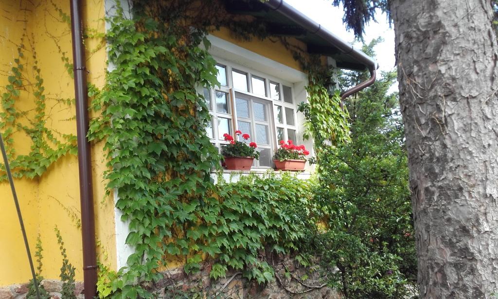 Villa-Magdi Vendégház Revfulop Exterior foto