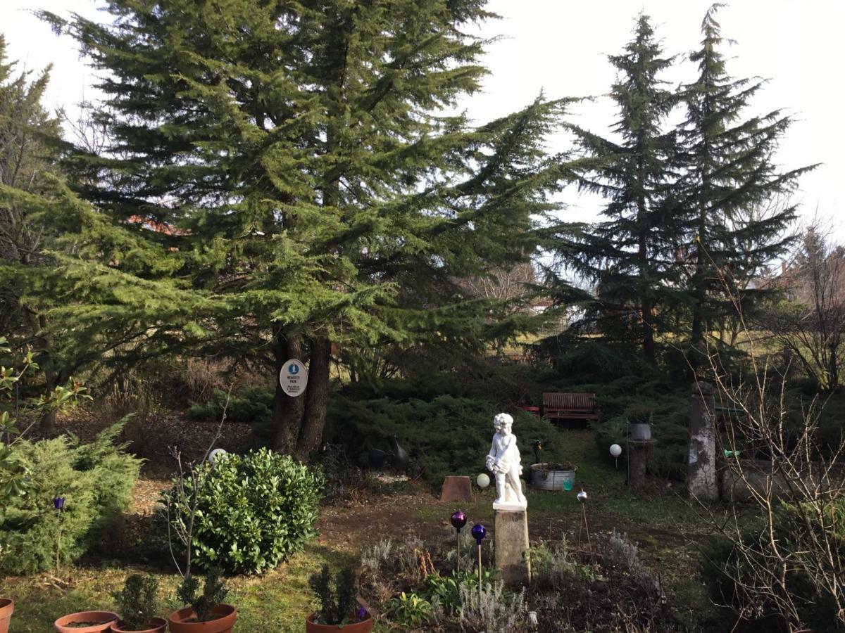 Villa-Magdi Vendégház Revfulop Exterior foto