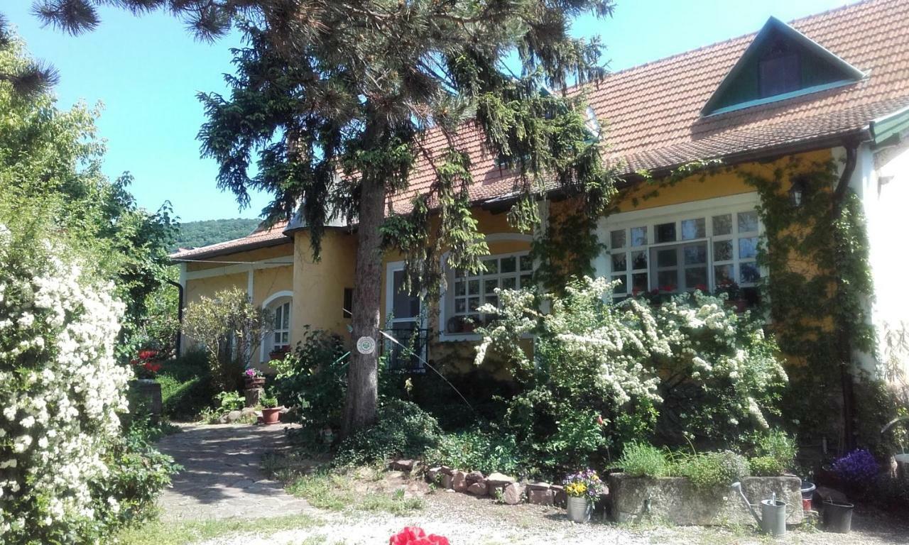 Villa-Magdi Vendégház Revfulop Exterior foto